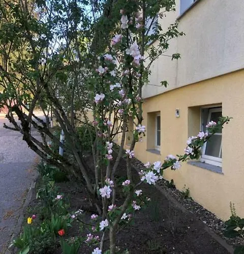 Konukevi Waldfrieden Suhl